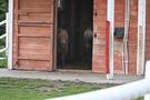 Wiewiecko... i mini ZOO, zrobiliśmy spacer oglądając jego "mieszkańców". 