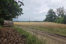 Woliczno. Za miejscowością zrobiliśmy krótką przerwę. Trochę kropiło.