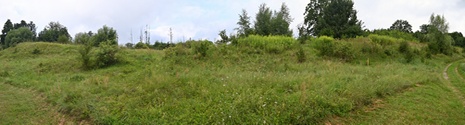 Zamek Szadzko.