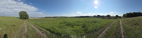 Między Drawskiem Pomorskim a Gudowem.